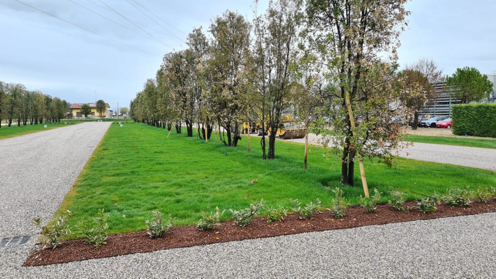 sistemazione area esterna Pasiano di Pordenone